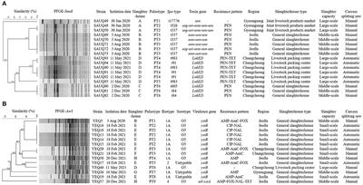 Prevalence and characteristics of foodborne pathogens from slaughtered pig carcasses in Korea